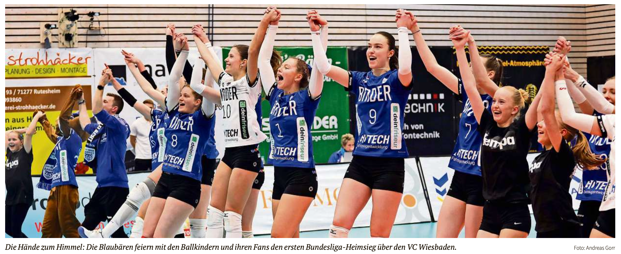 Blaubären sind in der Liga angekommen